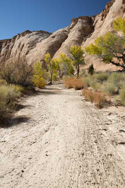 A dirt path leads between rocky cliffs with sparse vegetation and yellow-leaved trees.