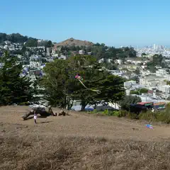 A person flying a kite on top of a hill in an urban setting with buildings and trees in the background.