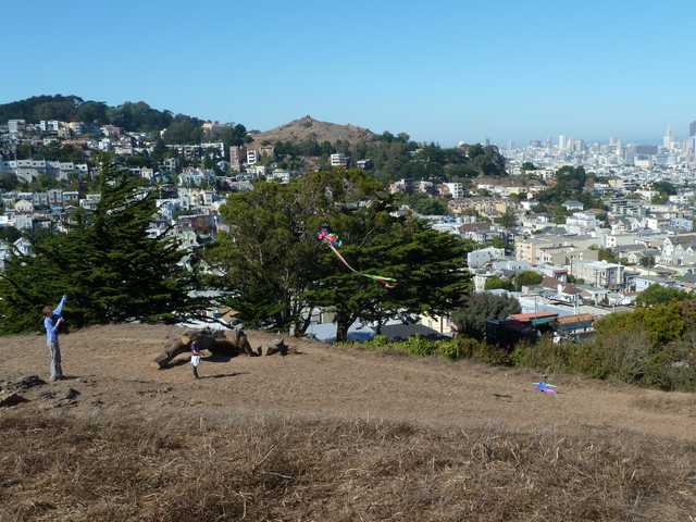 A person flying a kite on top of a hill in an urban setting with buildings and trees in the background.
