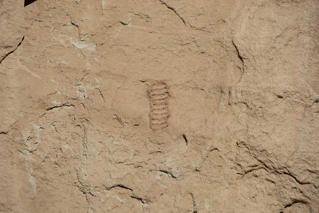 A faint, vertical petroglyph of stacked loops is incised into a cracked, light-brown rock surface.