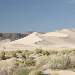 Large sand dunes rise in the desert, with sparse shrubs in the foreground and distant hills under a clear blue sky.