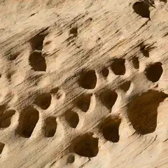 A textured rock surface featuring numerous circular indentations, likely formed by natural erosion or weathering processes.