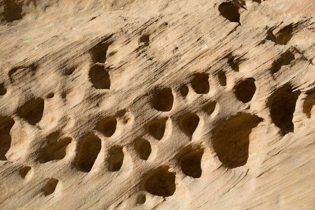 A textured rock surface featuring numerous circular indentations, likely formed by natural erosion or weathering processes.