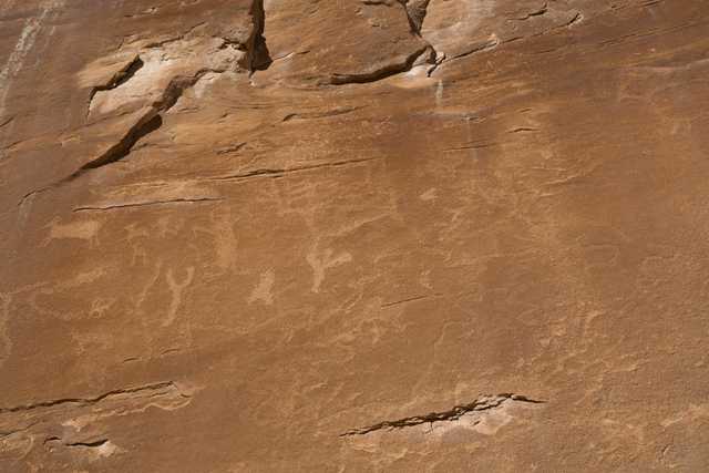 An ancient rock formation bears petroglyphs that depict various animals, including what appear to be deer and other creatures.