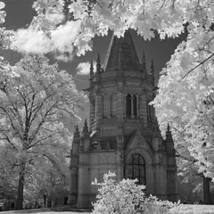 A stone mausoleum with ornate Gothic detailing is framed by leafy trees with bright foliage, set in a cemetery landscape.