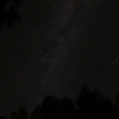 A meteor streaks across a star-filled night sky, with the Milky Way visible above silhouetted tree tops.
