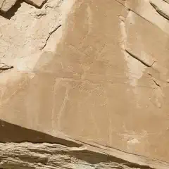 A rocky surface features an area of petroglyphs etched into it.