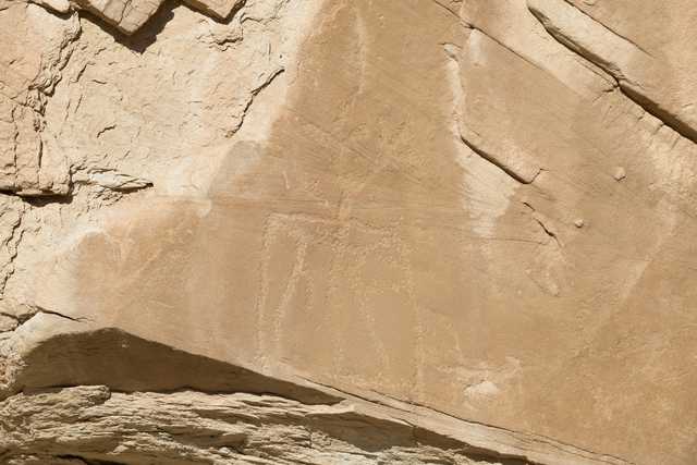 A rocky surface features an area of petroglyphs etched into it.